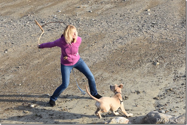 2018 5 4 Misc Walks & GHS Softball vs Swamp 060