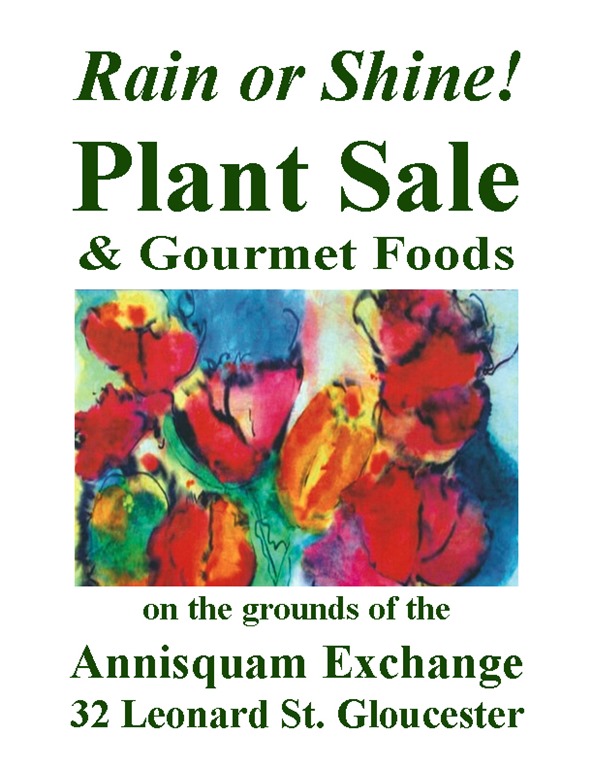 ASC-PlantSale-RainShine