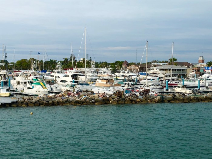 D4935E6A-204A-4705-A92B-DA9D075AD676