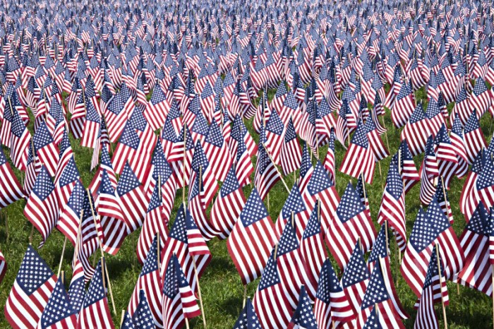 group-of-american-flags-at-boston-common_medium