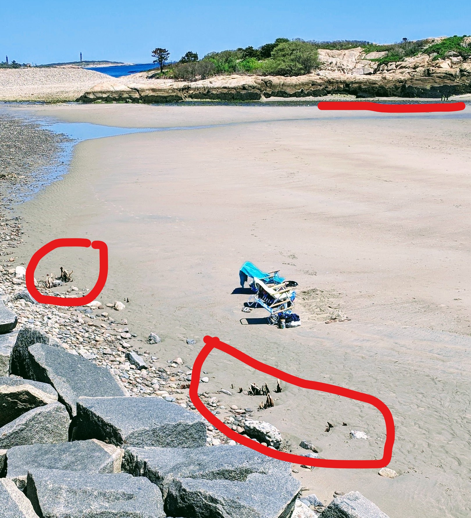 InkedLong Beach Massachustts after winter 2018 storm damage- mangrove like roots unearthed - detail marked up©c ryan_20180523_134700