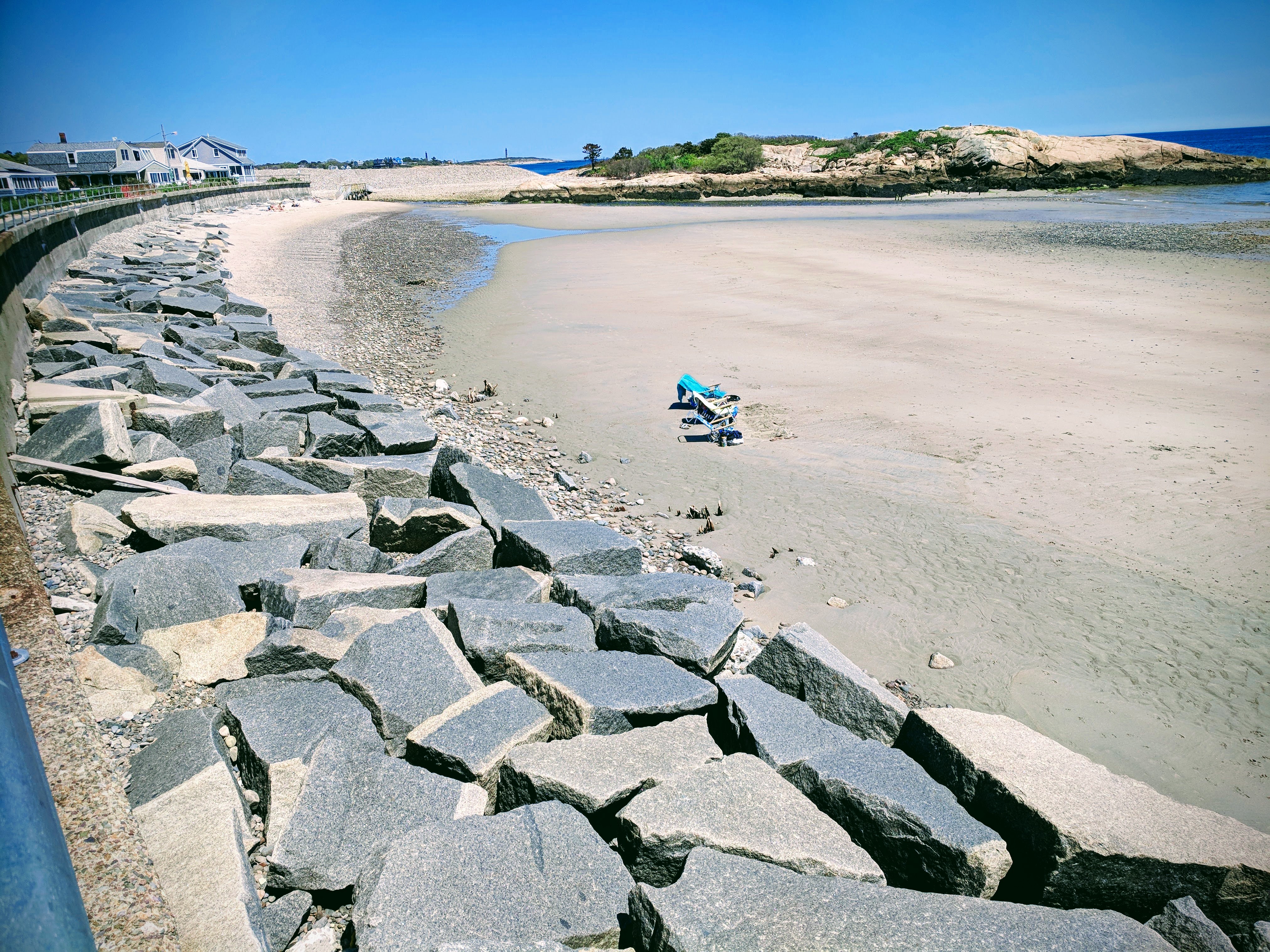 Long Beach Massachustts after winter 2018 storm damage- mangrove like roots surface©c ryan_20180523_134700