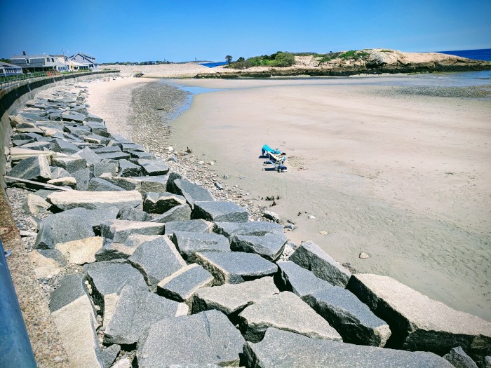 Long Beach Massachustts after winter 2018 storm damage- mangrove like roots surface©c ryan_20180523_134700