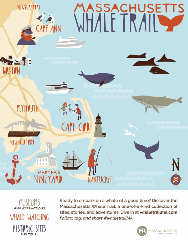 WhaletrailMA