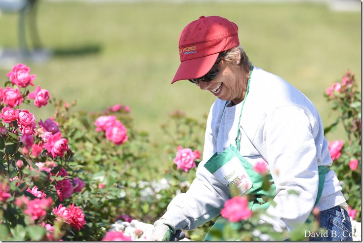 2018 6 18 GHS BB vs Dracut & A Week's Pics 052