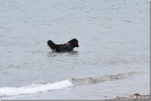 2018 6 18 GHS BB vs Dracut & A Week's Pics 084