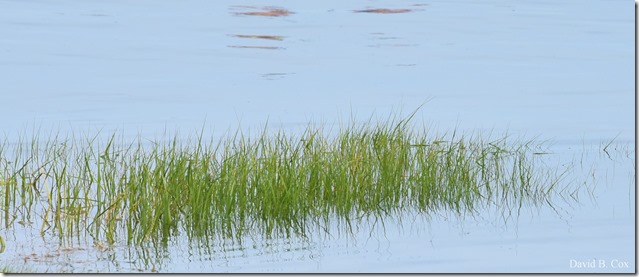 2018 6 18 GHS BB vs Dracut & A Week's Pics 107