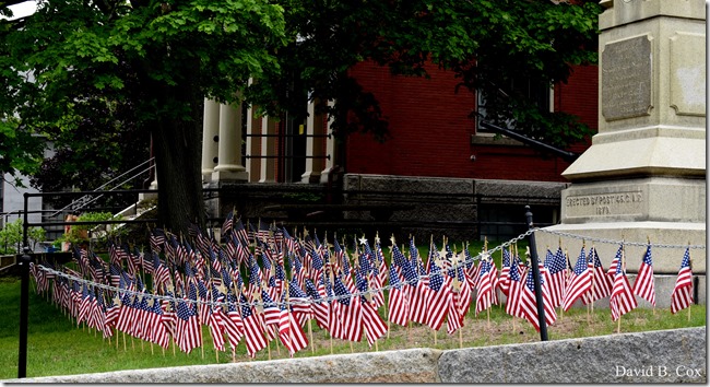 2018 6 2 Another week photos 001