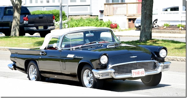 2018 6 2 Another week photos 012