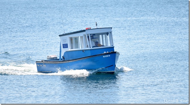 2018 6 2 Another week photos 013