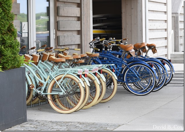 2018 6 2 Another week photos 026