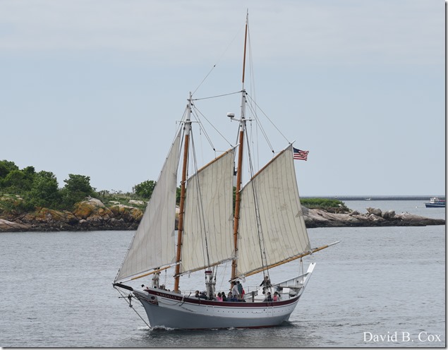 2018 6 2 Another week photos 031