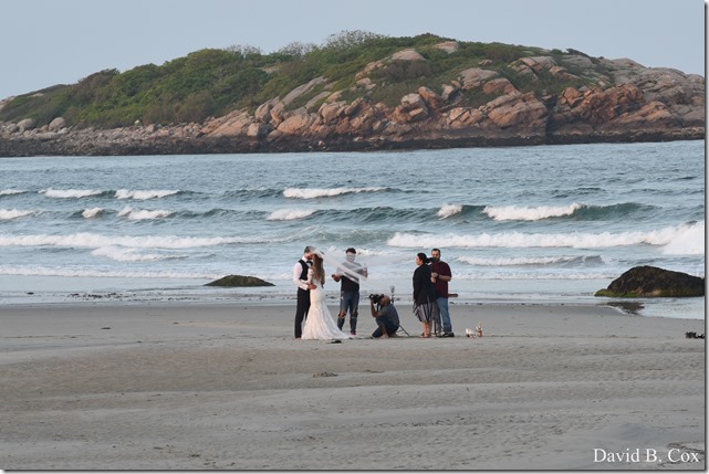 2018 6 2 Another week photos 041