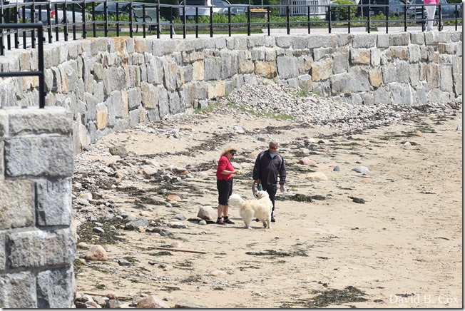 2018 6 2 Another week photos 112