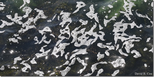 2018 6 2 Another week photos 120