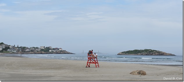 2018 6 2 Another week photos 145