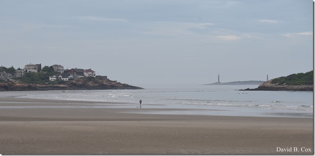 2018 6 2 Another week photos 147