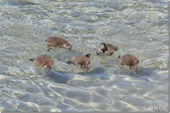 2018 6 23 Miss Week's Photos 039