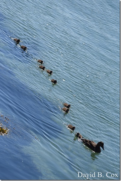 2018 6 23 Miss Week's Photos 049