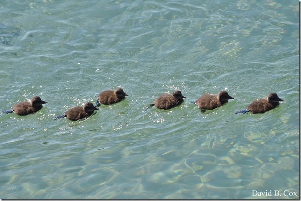 2018 6 23 Miss Week's Photos 050