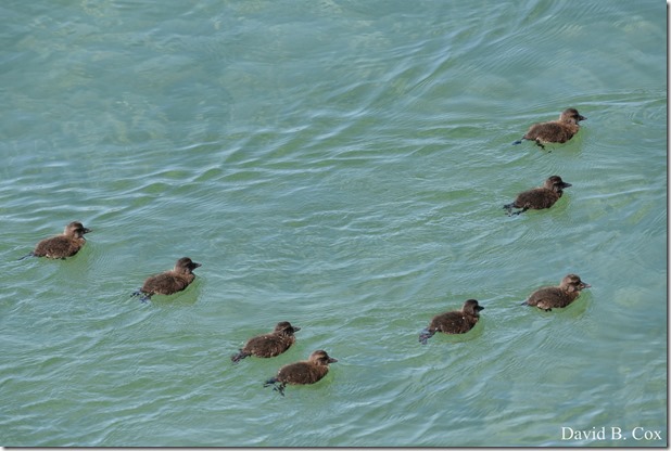 2018 6 23 Miss Week's Photos 054