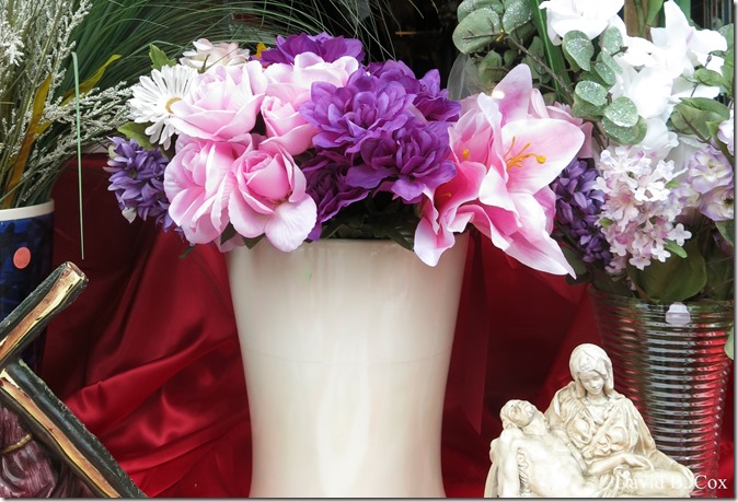 2018 6 27 Cannon Misc Walks Fiesta 042