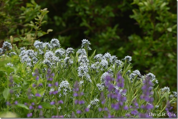 2018 6 7 Walks & GTHS BB vs Triton Playoffs 017