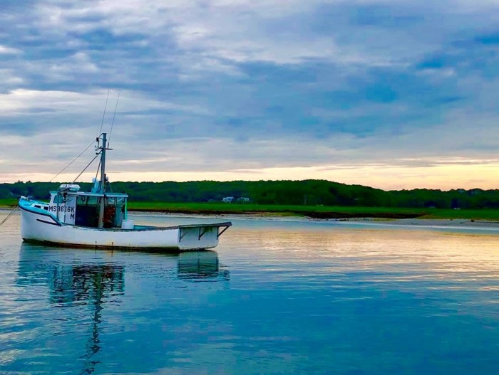 34087335_10216783684414405_4504700423193493504_n