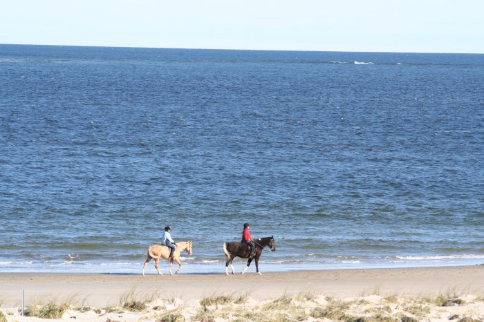 Gloucester Fall 2012 102