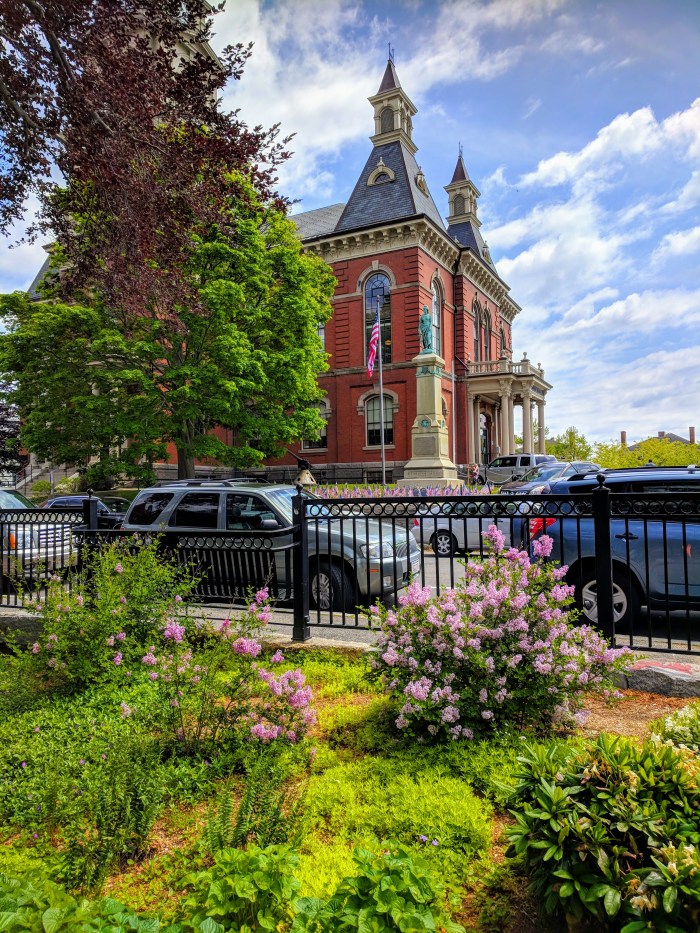 looking to City Hall from Sawyer Free _May flowers spring 2018_©c ryan
