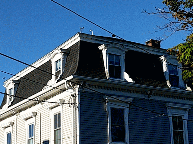 seagull roof treatement animation ©c ryan