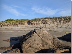 Special rock piping plover enclosure Good Harbor Beach Gloucester Mass_©c ryan_20180617_063939