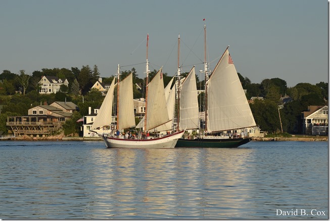 2018 7 11 Walks & Margatita 039