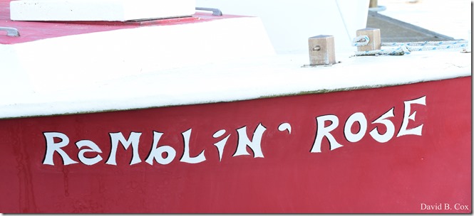 2018 7 11 Walks & Margatita 040