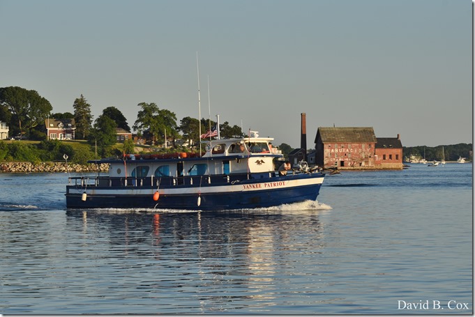 2018 7 11 Walks & Margatita 056