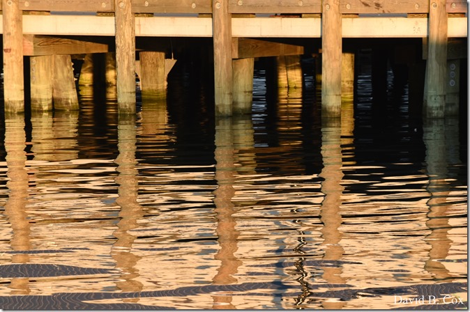 2018 7 11 Walks & Margatita 078