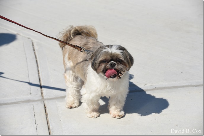 2018 7 11 Walks & Margatita 096