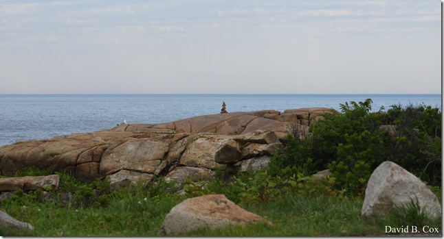 2018 7 11 Walks & Margatita 119