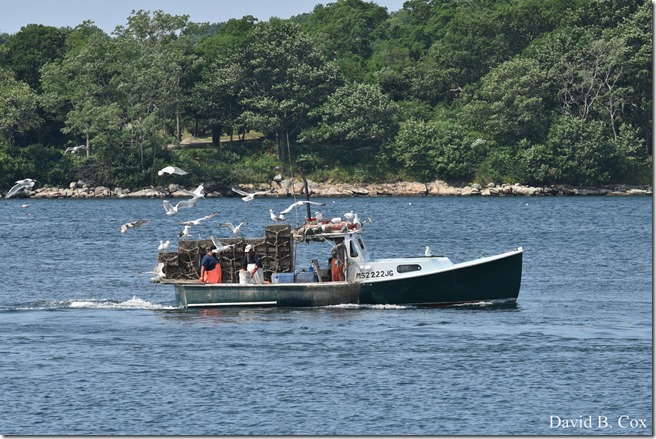 2018 7 11 Walks & Margatita 133