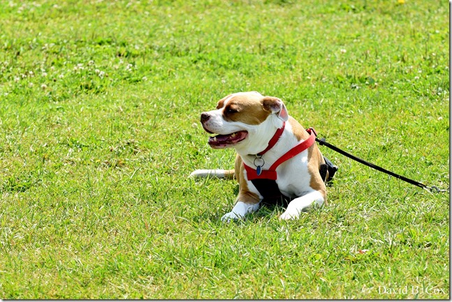 2018 7 11 Walks & Margatita 168