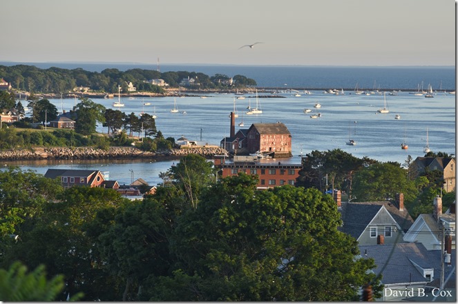 2018 7 15 Block Party & Margareta 008