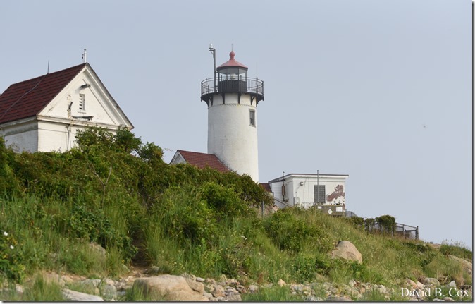 2018 7 18 Misc Walks Blvd 005