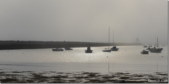 2018 7 18 Misc Walks Blvd 007