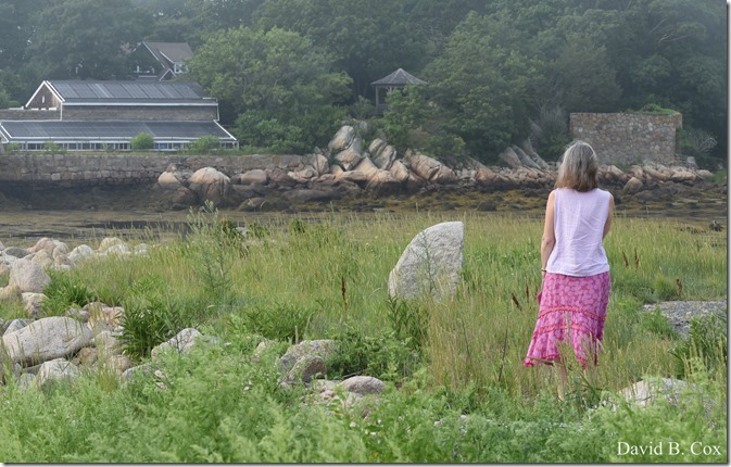 2018 7 18 Misc Walks Blvd 012