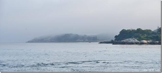 2018 7 18 Misc Walks Blvd 017