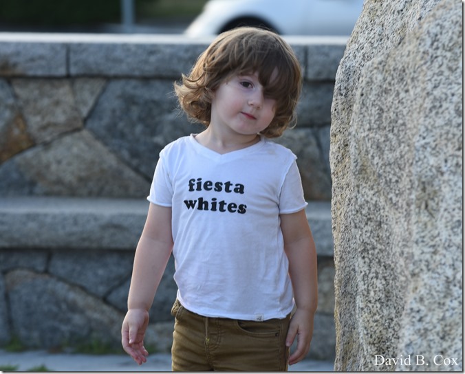 2018 7 18 Misc Walks Blvd 024