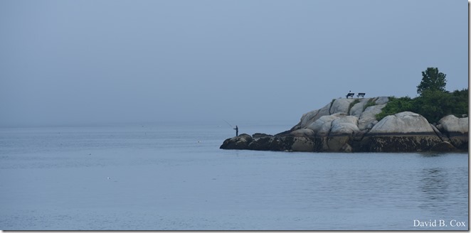 2018 7 18 Misc Walks Blvd 028