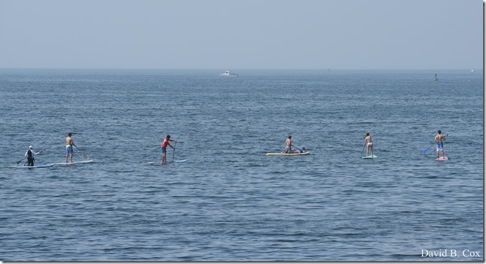 2018 7 18 Misc Walks Blvd 097