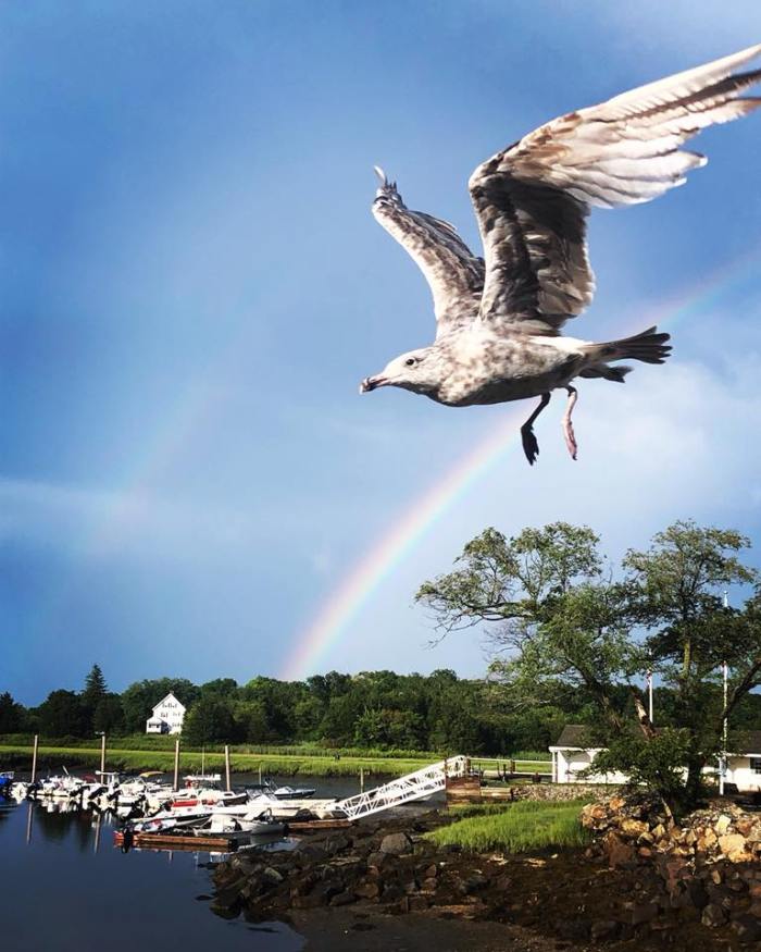 37881347_10213924400116412_1732719901765795840_n