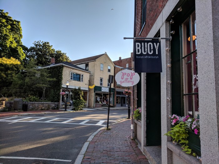downtown shops Gloucester signs_Pop Gallery, Buoy, Bananas_20180720_©c ryan.jpg